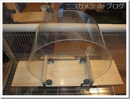 回し車全体像 回し車全体像